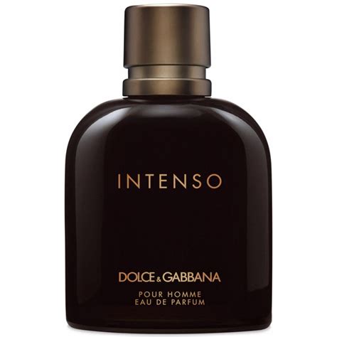 dolce gabbana pour homme 125 ml preisd|d&g pour homme intenso.